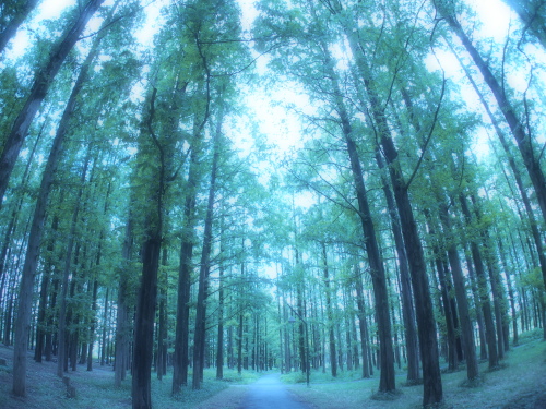 水元公園2012.9.24 007.jpg