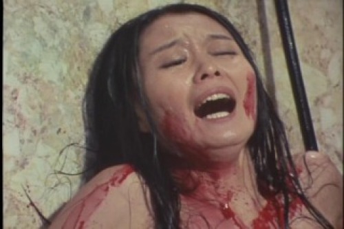 PDVD_056.jpg