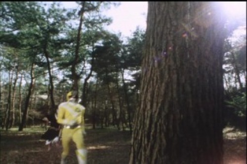PDVD_015.jpg