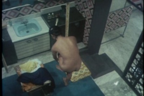 PDVD_002.jpg
