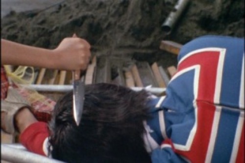 PDVD_024.jpg