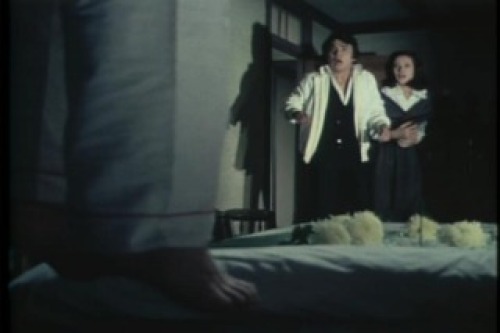 PDVD_204.jpg