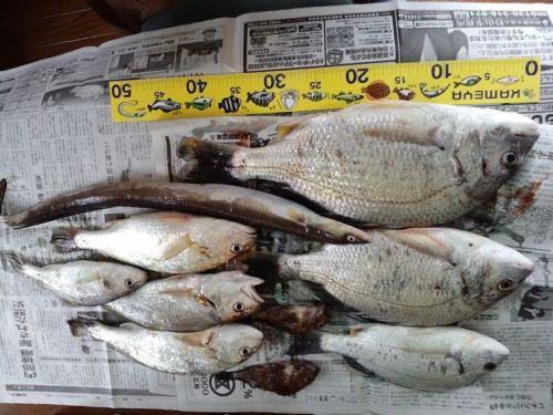 2012.5.26.2_R.JPG