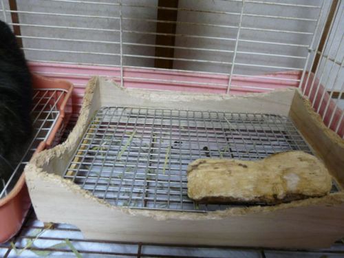 ラブ