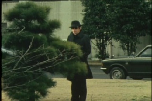 PDVD_022.jpg