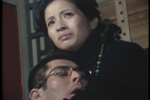 PDVD_124.jpg