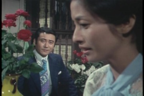 PDVD_060.jpg