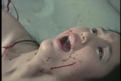 PDVD_035.jpg