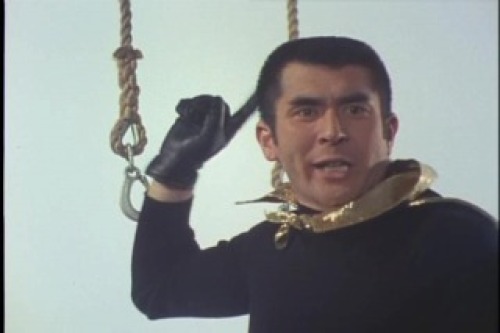 PDVD_162.jpg
