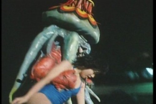 PDVD_051.jpg