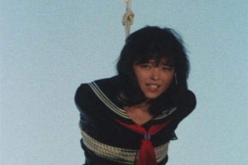 PDVD_023.jpg