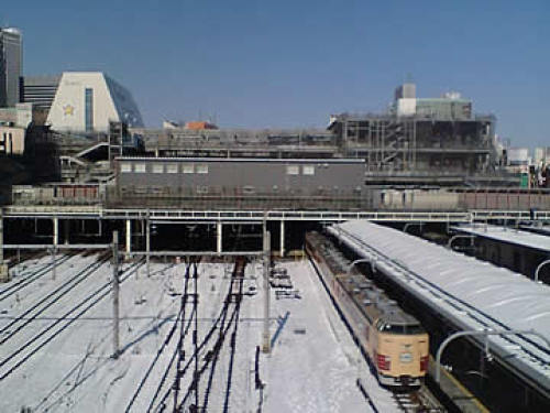 tokyo-snow201301.jpg