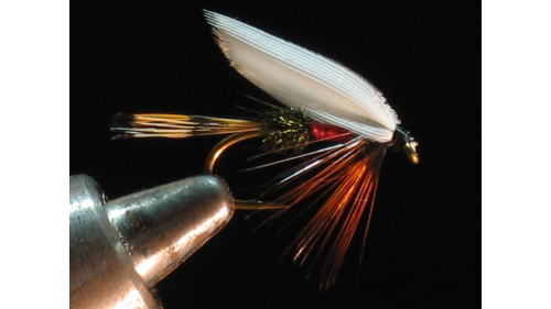 322-b.jpg