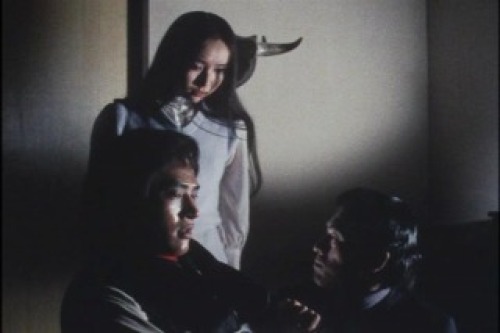 PDVD_030.jpg