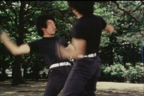 PDVD_042.jpg