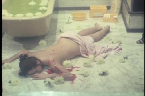 PDVD_105.jpg