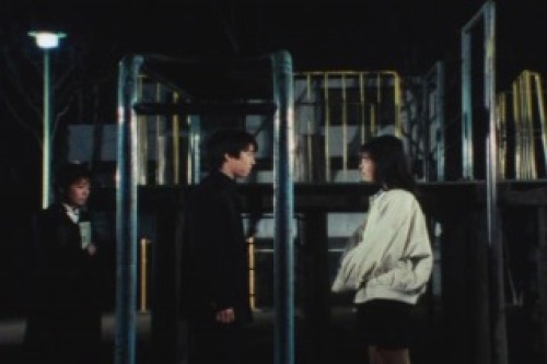 PDVD_010.jpg