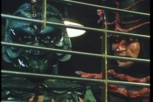 PDVD_055.jpg