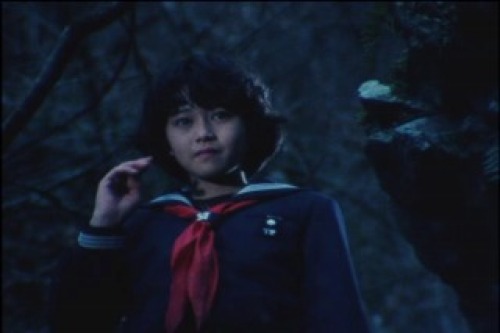 PDVD_028.jpg