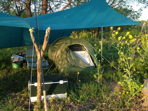 201205102055_8581_iphone.jpg