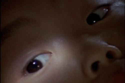 PDVD_021.jpg