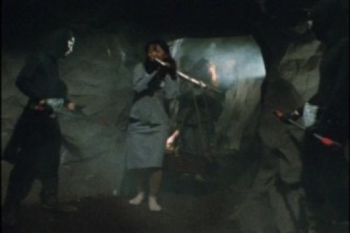 PDVD_024.jpg