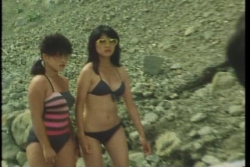 PDVD_022.jpg
