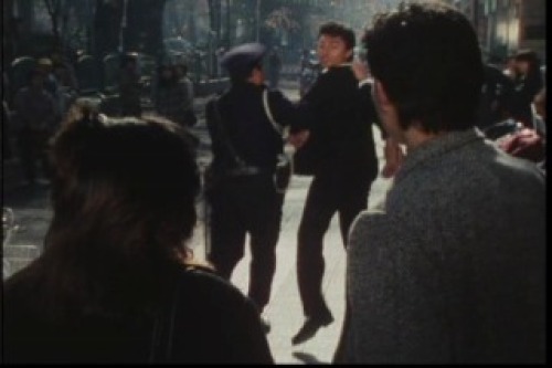 PDVD_018.jpg