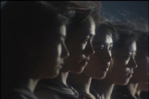 PDVD_031.jpg