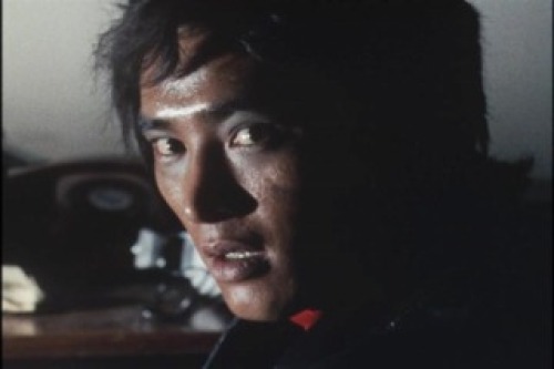 PDVD_029.jpg