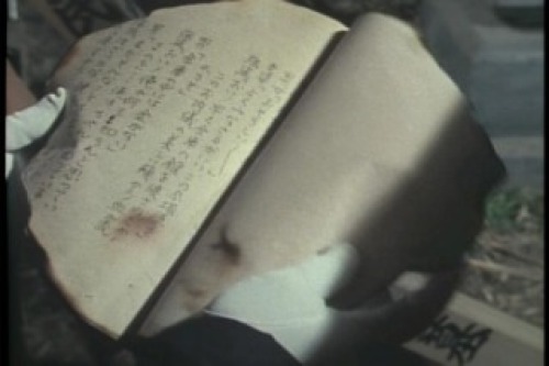 PDVD_084.jpg