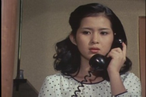 PDVD_068.jpg