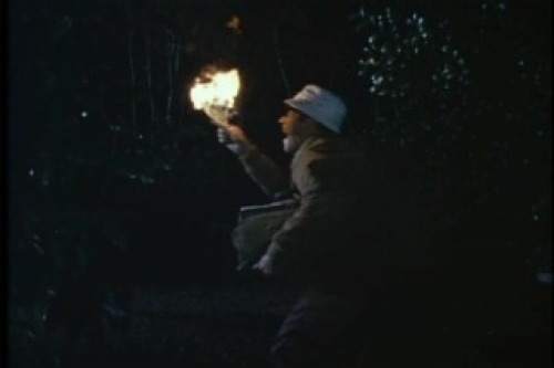 PDVD_007.jpg