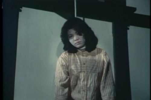 PDVD_029.jpg