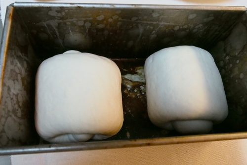 PB212202.JPG