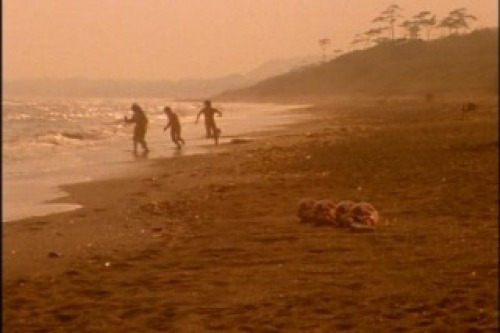 PDVD_007.jpg