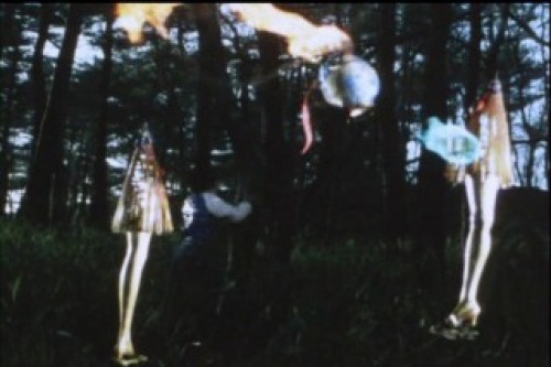 PDVD_013.jpg