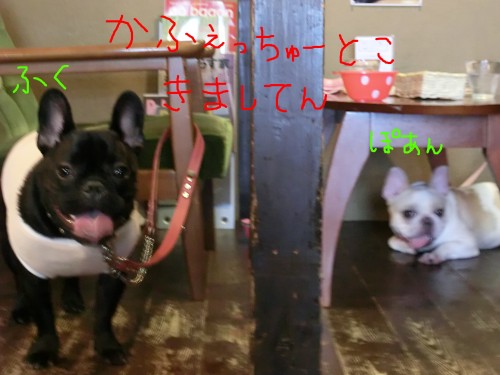 カフェきましてん.jpg