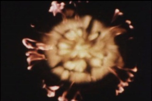 PDVD_006.jpg