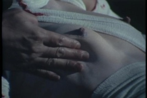 PDVD_025.jpg