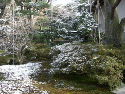 成巽閣飛鶴庭