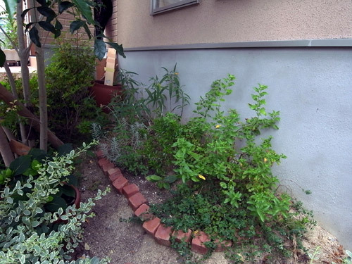 R0010844.jpg