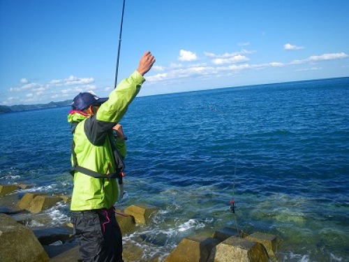 行ってきました アオリイカ釣り Lbリールに興味湧く 編 アオリイカ釣り奮闘記 楽天ブログ