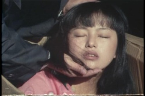 PDVD_049.jpg