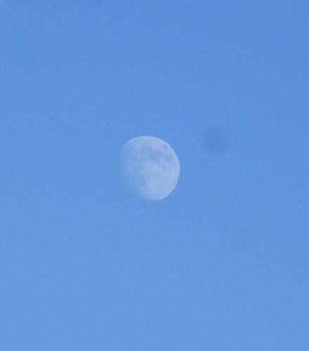 R0012163.JPG