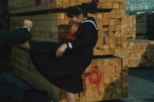 PDVD_033.jpg