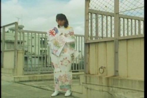 PDVD_007.jpg
