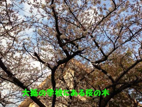 image6.jpeg