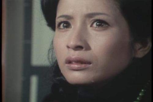 PDVD_126.jpg