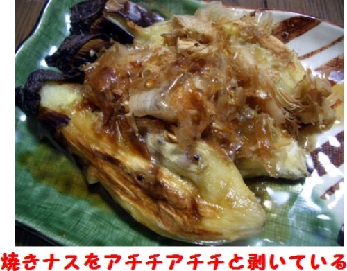 yakinasu.jpg